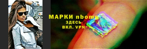 стаф Ельня