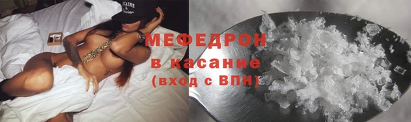 стаф Ельня
