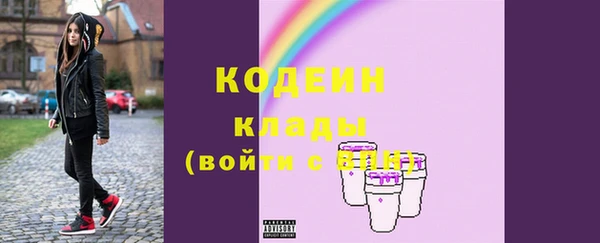 стаф Ельня
