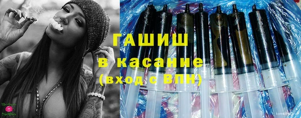 стаф Ельня