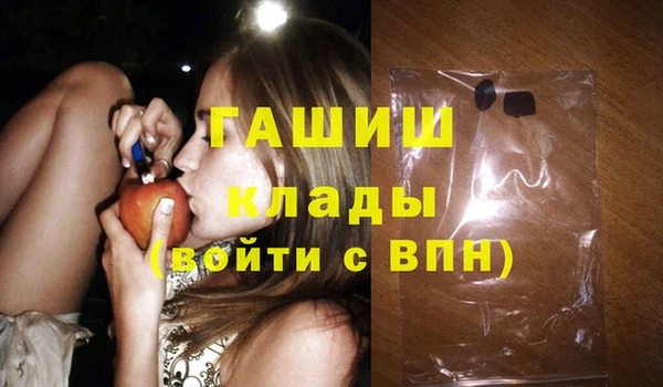 стаф Ельня
