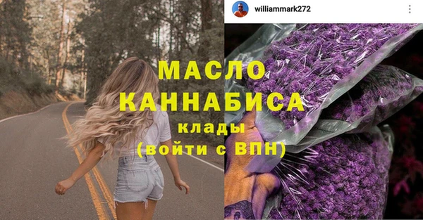 стаф Ельня