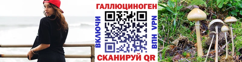 Псилоцибиновые грибы MAGIC MUSHROOMS  Купить  Моршанск 